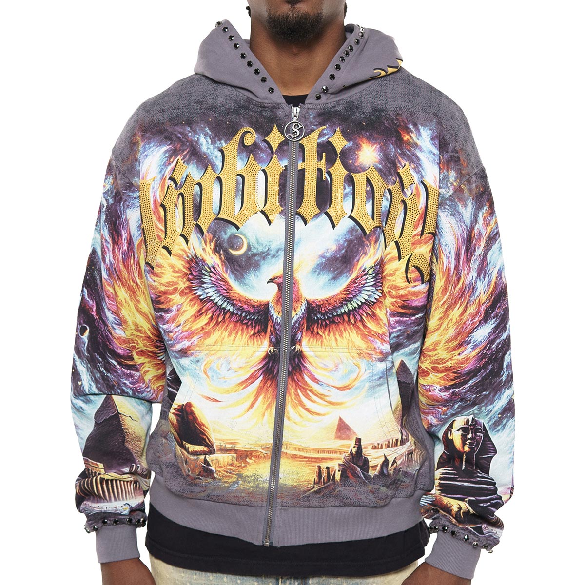 Ambitions stray full-zip hoodie