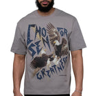 Dove Grey