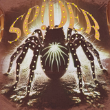 Stray spider Pullover hoodie