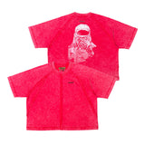 Masked washed tee