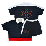 Reversible icon set