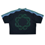 Snake god set